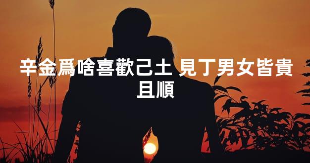 辛金爲啥喜歡己土 見丁男女皆貴且順